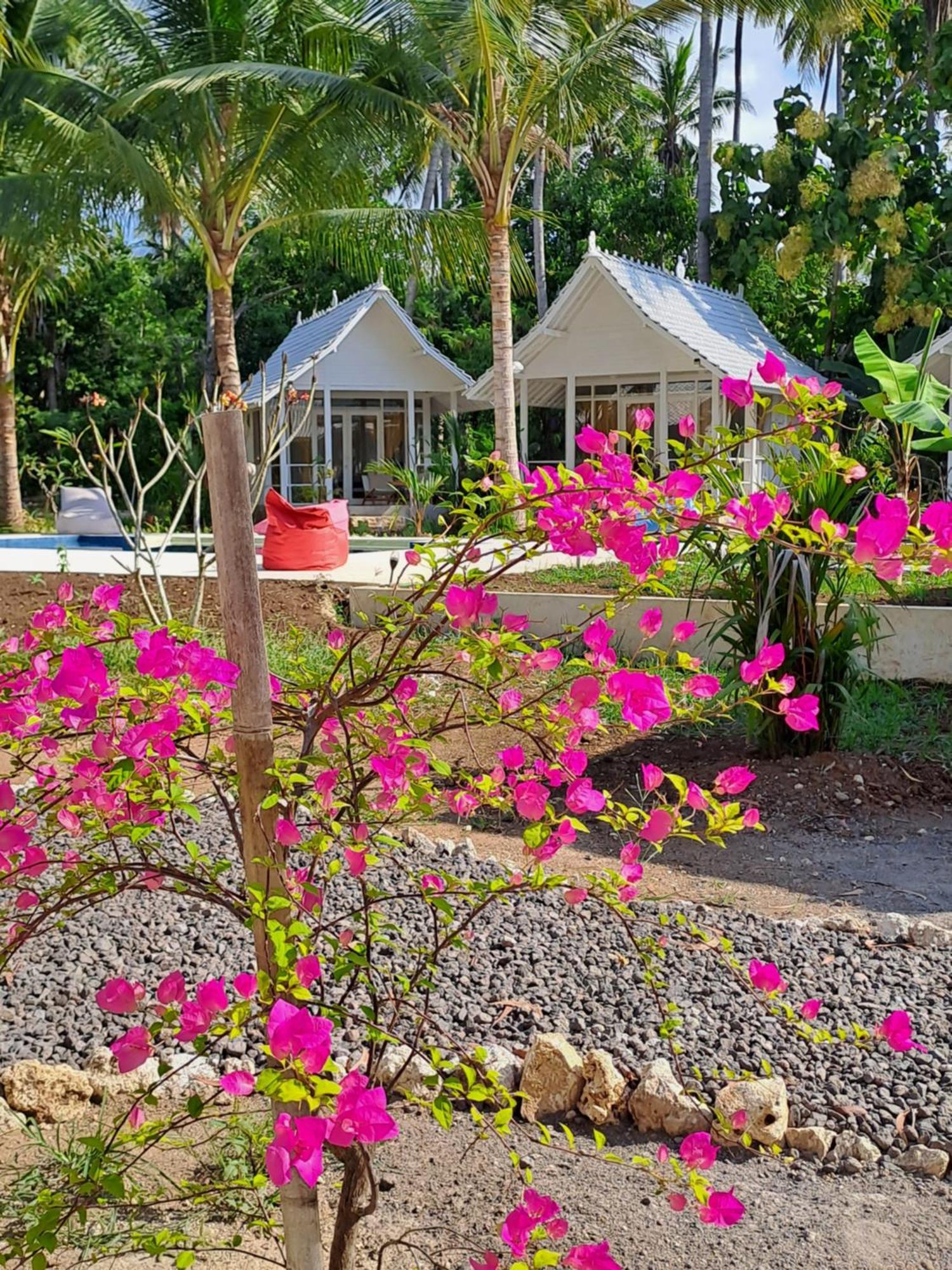 Hotel The Palms Penida Ped Zewnętrze zdjęcie