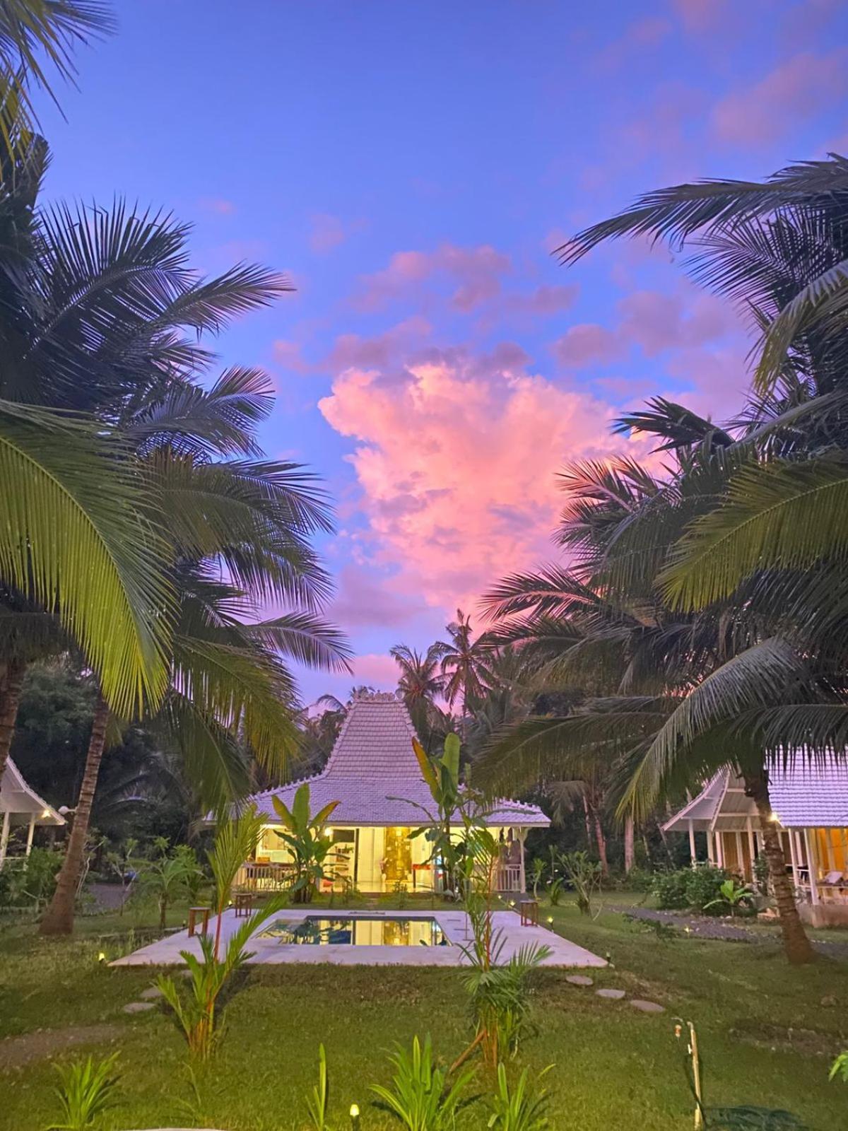 Hotel The Palms Penida Ped Zewnętrze zdjęcie